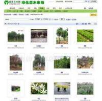 專業企業網頁設計與維護服務 構建數字化形象，驅動業務增長